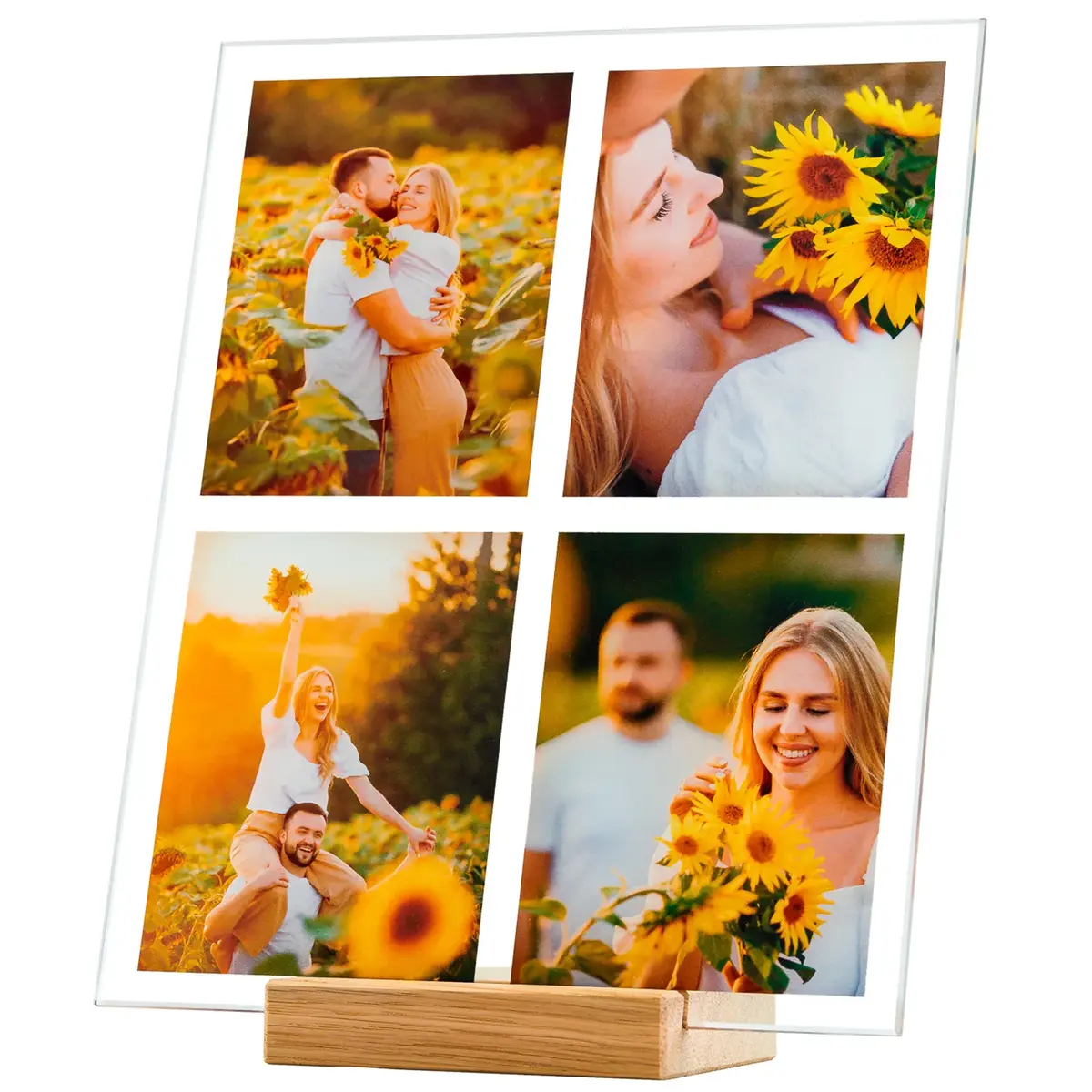 Glass plate template - Photos and Collages editor